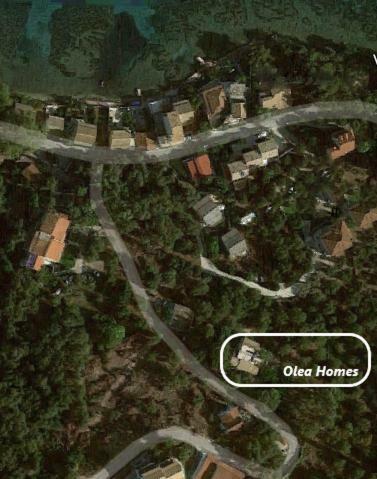 Villa Olea Home