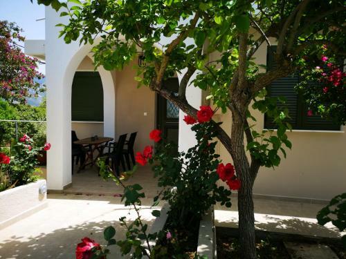 Casa Da Bugainvillea