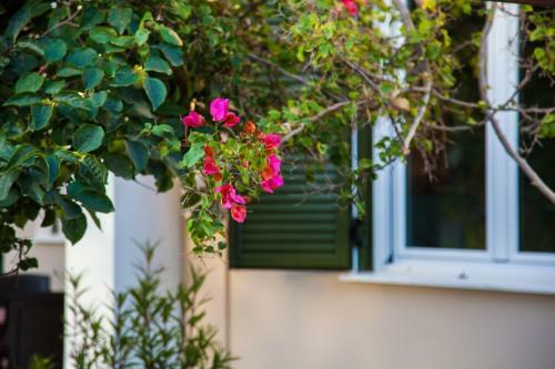 Casa Da Bugainvillea