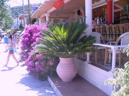 Villa Amelia