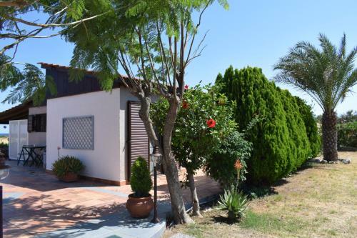 Aelia Sea View Bungalow