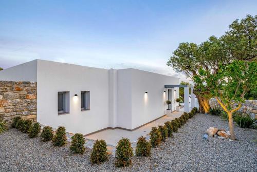 Villa Damaskina