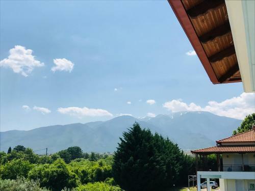 Apartamento Dimeli 1
