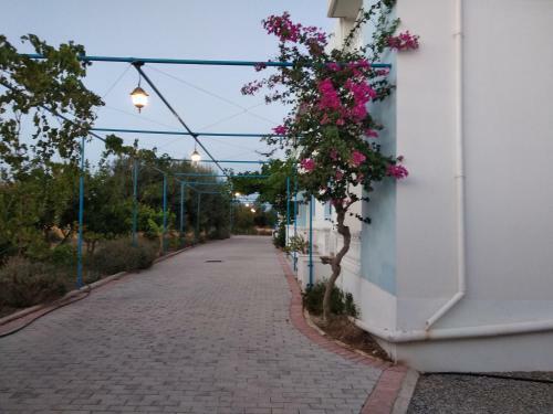 Rita Mare Seafront Villas