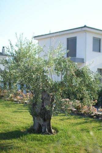 Luxury Villa Plaka