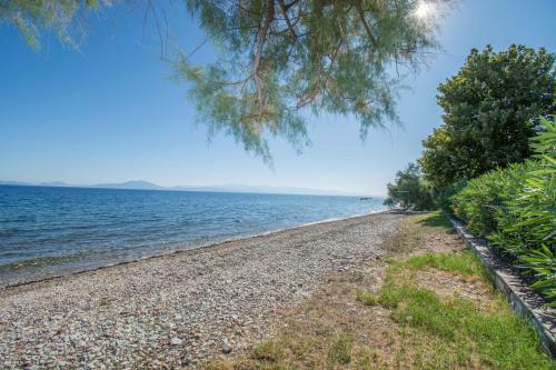 Romantic Seafront Studio - Dream Garden