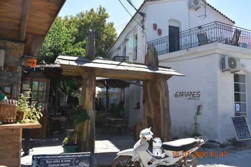 Apartamento The Central House!