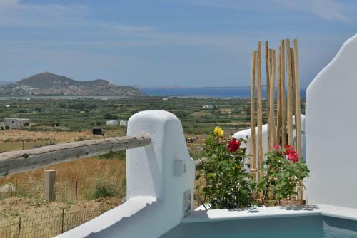 Villa Kleio Naxian Album With Private Pool