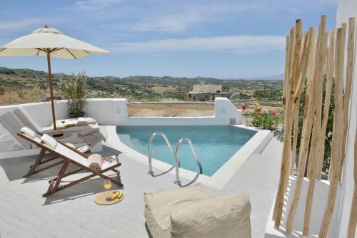 Villa Kleio Naxian Album With Private Pool