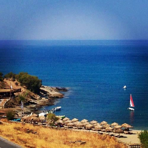 Koundouros Home