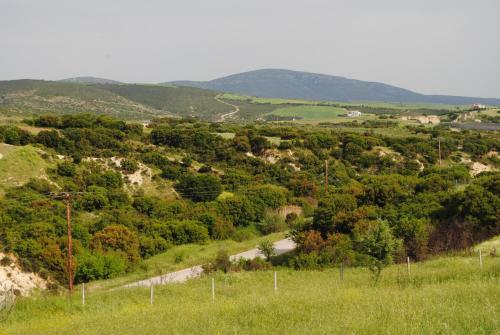 Stylish Villa In Salonica's Nature