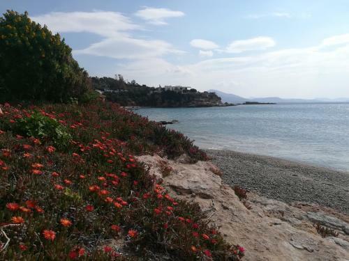 Elenas Studio Agia Marina Koropi
