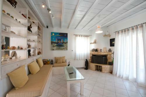 Villa Wild View Mykonos