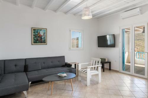 Villa Wild View Mykonos