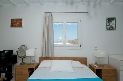 Villa Wild View Mykonos