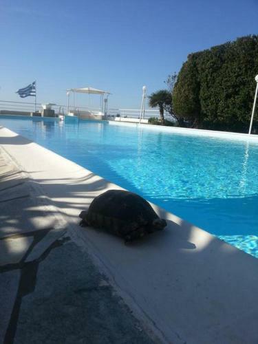 Beautiful, Private Villa By The Sea