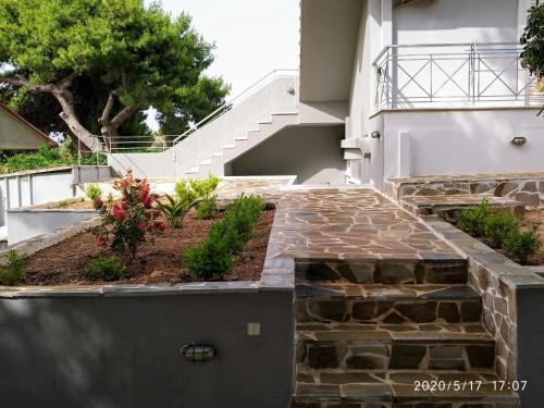 Apartments:alexandros -sofia