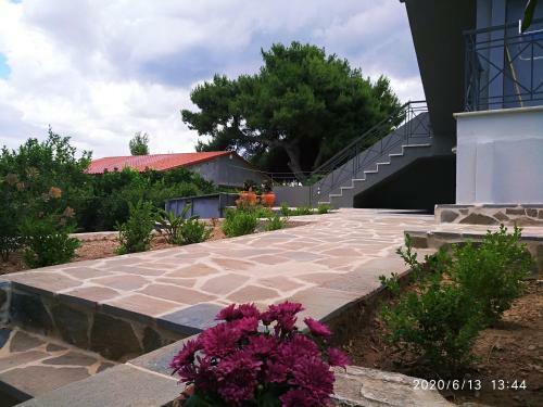 Apartments:alexandros -sofia