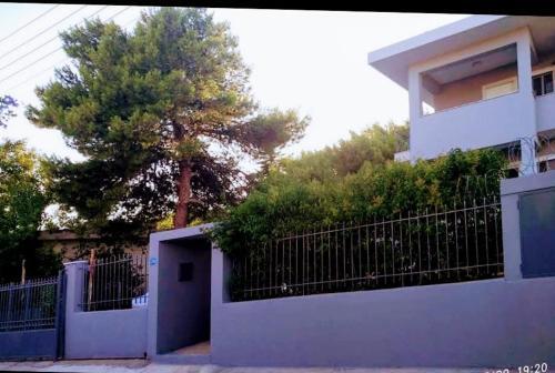 Apartments:alexandros -sofia
