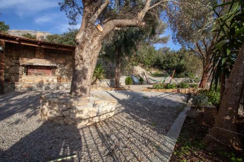 Agroturismo Argyros House
