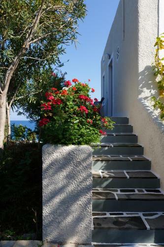Into The Blue Villa