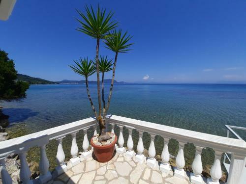 Blue Horizon (boukari)
