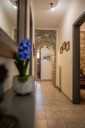 Amaryllis Holiday Home