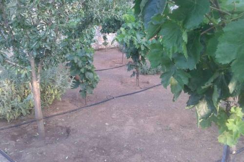 Luxurius Independent 3rd Floor In Villa
