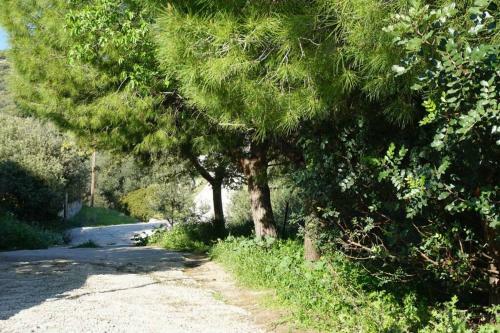 Cosy Guest House With Private Yard