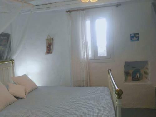 Anastasia's House