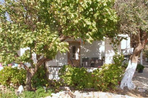 Anastasia's House