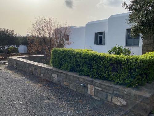 Naousa Isterni 5d