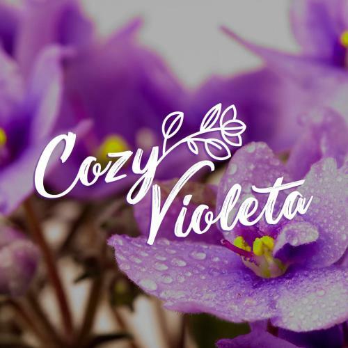 Cozy Violetas Apartment,ideally Located.