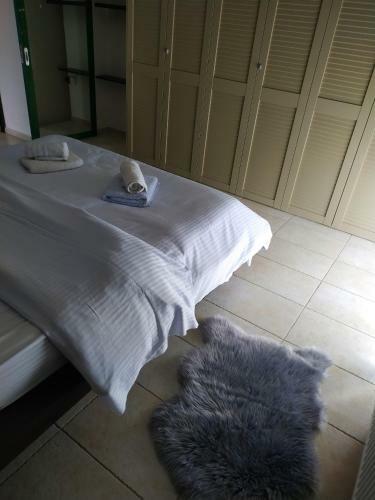 Apartamento Holiday Nest & Parking