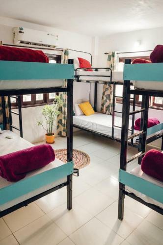 The Hostel Crown Udaipur