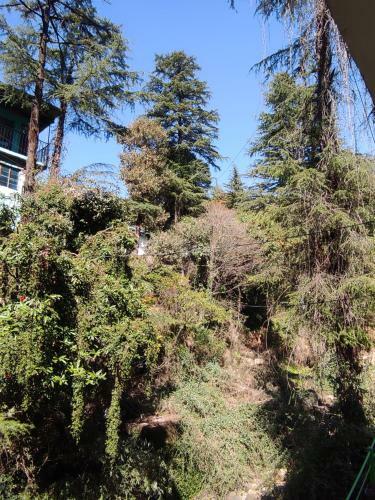 Mustard House - Travellers Homestay