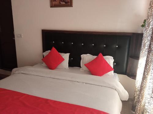 Hotel Bhagsu Mountain View,