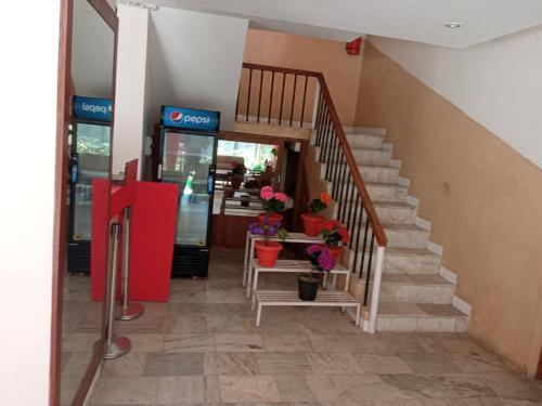 Hotel Bhagsu Mountain View,