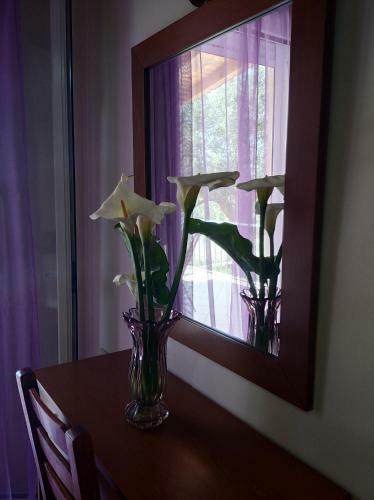Apartamento Blue Cave Studios - Peristeronas Cave