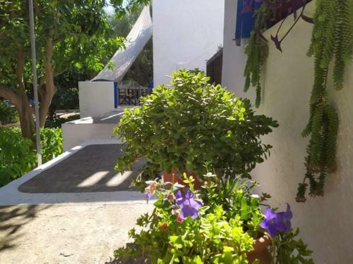 Stamoulis Apartments