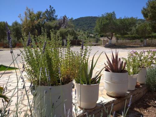 Apartamento Blue Cave Studios - White Cliff