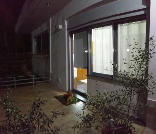 Apartamento Allegro Home