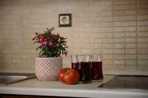 Seaview Cottage - Calmare