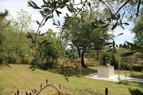 Hostal Ktima Theofilos - Frideriki