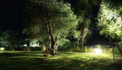 Hostal Ktima Theofilos - Frideriki