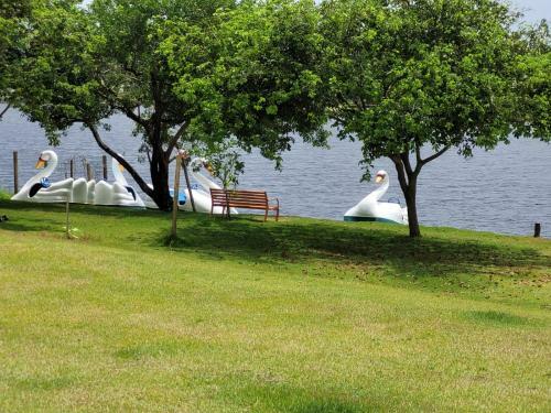Apartamento Duplex 3 Su�tes Em Guarajuba Ba - Para�so Das �guas