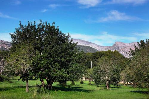 Finca Son Jord�