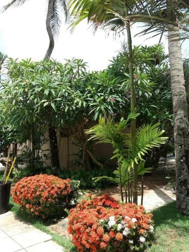 Apartamento Eco Paradise Cumbuco 131