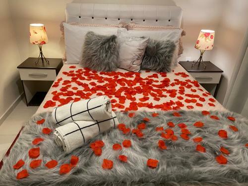 Vila Noel Premium