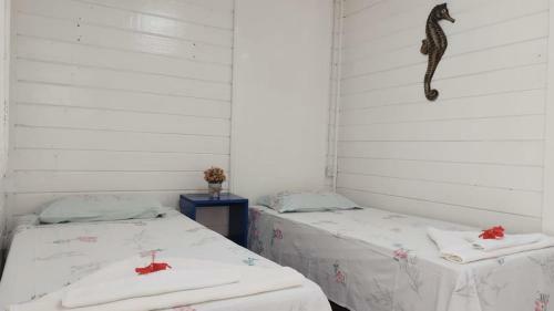Hostal Viva Noronha Su�tes